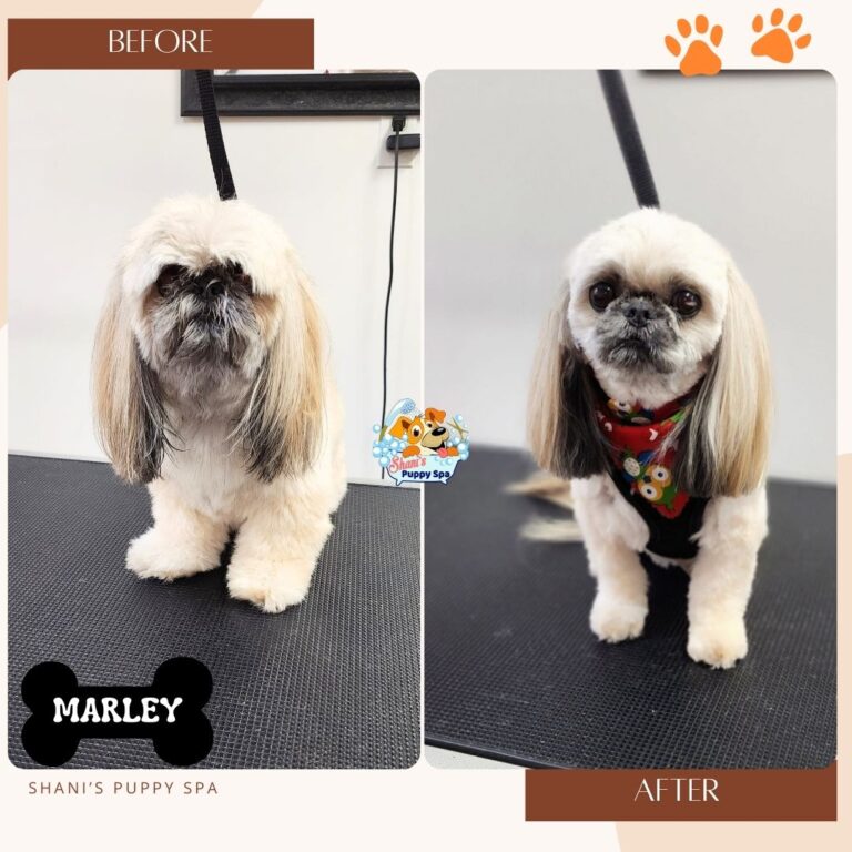 Marley