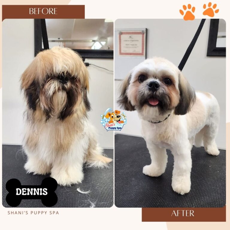 Dennis