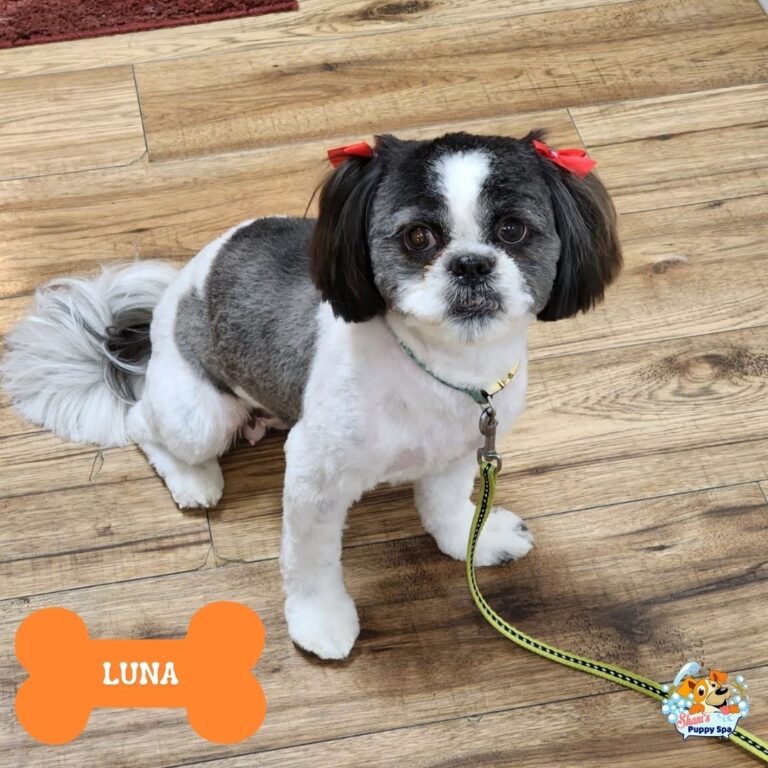 Luna
