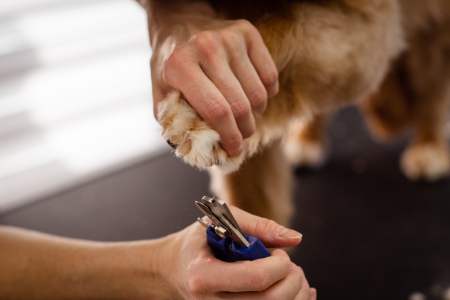 nail clipping
