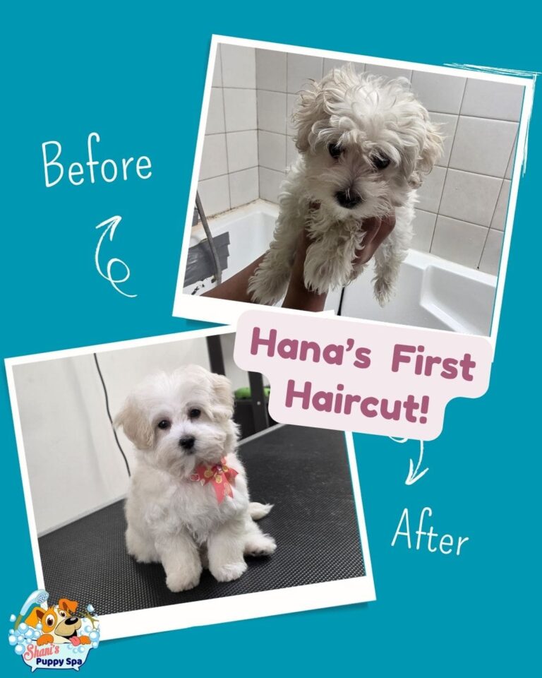 hana