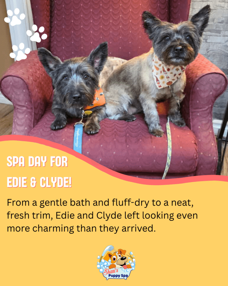 Edie and Clyde