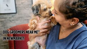 Dog Groomers Near Me” in Newmarket
