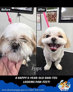 pops2
