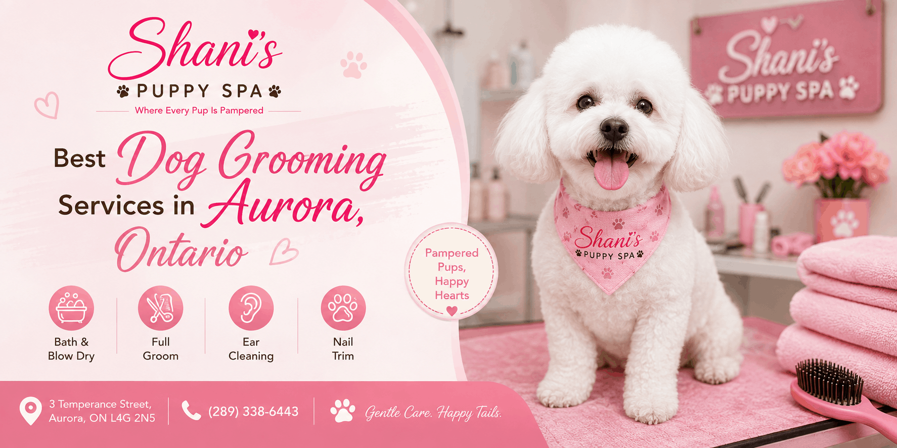 best dog grooming in Aurora