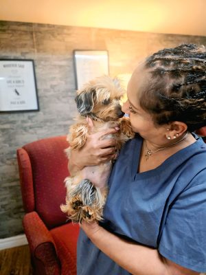 best dog groomer Shani best dog groomer in newmarket